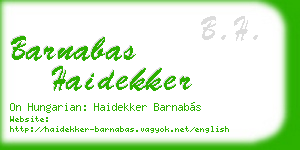barnabas haidekker business card
